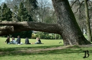 framed, Parc Monceau