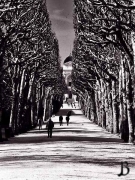 Jardin des Plantes