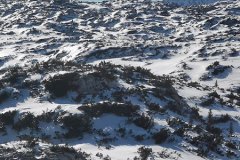 Dachstein baloon rise