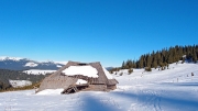 mountain pasture in MunÅ£ii LatoriÅ£ei