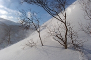 When you remotely trigger a wind slab it's time to turn around no matter how soft the powder is above you, Svarthetta ridge, GrÃ¸ndalen/Hemsedal