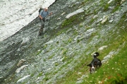 above Grindelwald 