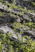 abseil no.2, Steber, IV+/III, 90m, Vipava, May 1st