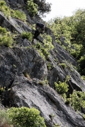 abseil no.2, Steber, IV+/III, 90m, Vipava, May 1st