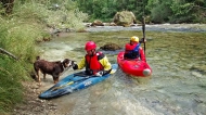 Sava Bohinjka @ 10m3/s, Breg, Jul.27 Â©Janja