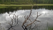 ÄŒrno jezero, June 21st