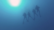 above Cesare Rossarol, group photo floating around 40m, Oct.17th. Â©Uroš Jurjec