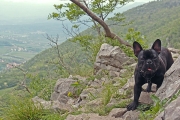 Max went climbing, Vipava Apr.26th, Â©Jonna