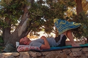 Siesta under Quercus ilex, Stara Baška, June 6th