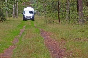 exploring forests around lake Sajno, Augustow-Poland