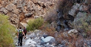 Barranco de las Hiedras, Arico Viejo