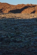 Parque Nacional del Teide