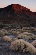 Parque Nacional del Teide