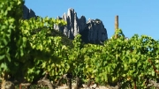 Dentelles de Montmirail