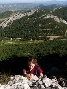 Dentelles de Montmirail