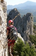 Dentelles de Montmirail