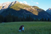 bottany lessons, Oberlech, Vorarlberg/Ã–sterreich