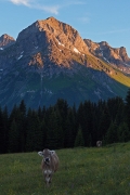 night watch, Omeshorn, Vorarlberg/Ã–sterreich