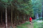 Hanks & Spielberg got it quite right in BOB, Bois Jacques, Foy/Bastogne, Belgium, Â©Jonna