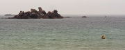 tidal paddling, Porspoder, Bretagne/France