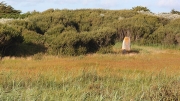 Menhir by Obelix & Co, La Torche, Bretagne/France