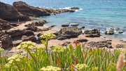 going for a swim, CÃ´te Sauvage, Presqu'Ã®le de Quiberon, Bretagne/France, Â©Jonna