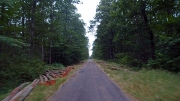 morning bike ride through ForÃªt de Boulogne, Chambord, Loare/France