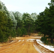 Black Forest, Colorado