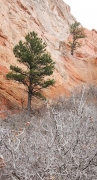 Garden of the Gods, Colorado Springs