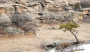 Castlewood Canyon, Colorado