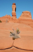 Delicate Arch, Arches NP, Utah