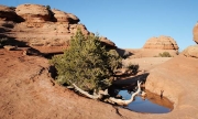 Arches NP, Utah