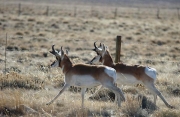 Wind river, Wyoming