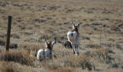 Wind river, Wyoming