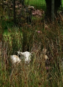 hide and seek, Brecon Beacons