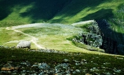 lone ranger, Snowdon