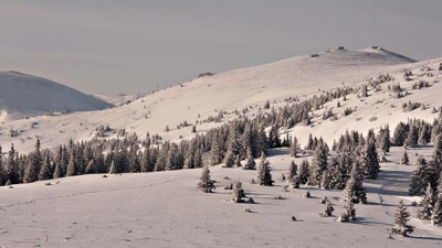 Moschkogel (1916m)