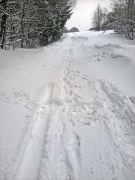 end of the road if you like it or not (turnaround point 200m downhill in reverse), Boč, Feb.14th