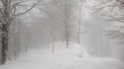 end of ascent on the ridge at 5pm, getting too dark & foggy to go all the way, Boč, Feb.14th