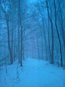 windswept to the base in the forest?! Boč, Feb.14th