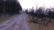 ÄŒrni Kal, after the forest fire, 1.1.2013 Â©Jonna