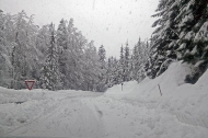 You know it's snowing hard when... you could ski on the road 10min after it was ploughed and you need chains to drive down not just up. Soriška planina, Feb.9