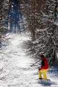 Jonna joining the search for some leftover pow, Katchberg, Jan.1st