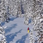 first tracks, Plannerkessel, Jan.29