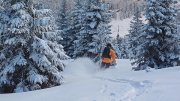 wonderful treelines @ Nockberge, ski day #6, Jan.18th