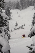 Running trees in heavy snow, Zillertal Arena, ski day #7, Jan 30th