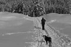 Pokljuka, Jan.15th