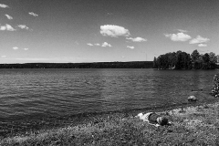 something washed up on the shore of Vesijärvi ;) Jul.7th