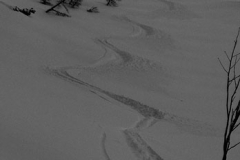 first tracks on a powder day, Peca, Dec.16th