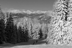 Burning a few hours on groomed runs at an unknown resort are better than waiting at the airport, Grebenzen, Dec.29th